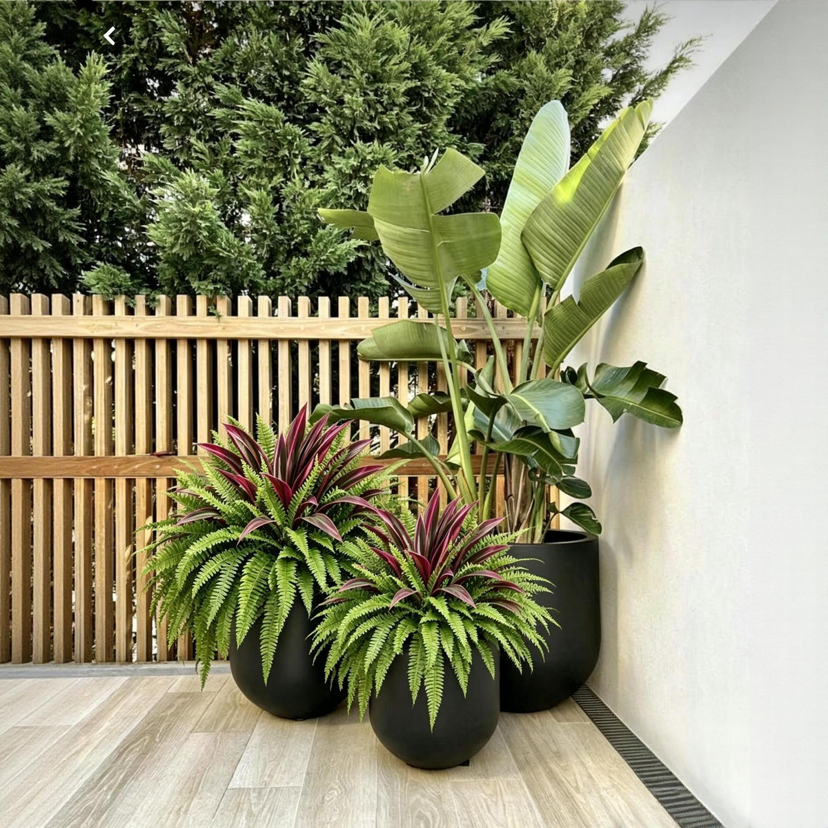 🔥  UV-Resistant Artificial Fern & Red Dracaena Decorative Plants – Full, Lush & Fade-Resistant!