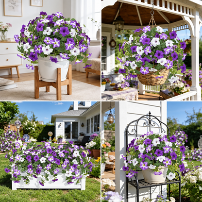 Last Day 61% OFF🔥 Fade-Proof, UV-Resistant Artificial Petunias – Vibrant, Colorfast Outdoor Flowers for Patio & Garden